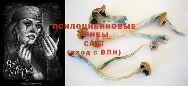 бутират Верхний Тагил