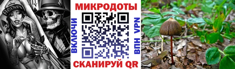 сколько стоит  Катайск  Псилоцибиновые грибы мицелий 